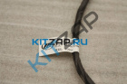 ���� �������� ����� ��� ����